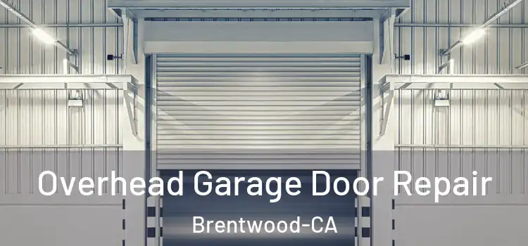 Overhead Garage Door Repair Brentwood-CA